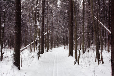 Similar image 10507333