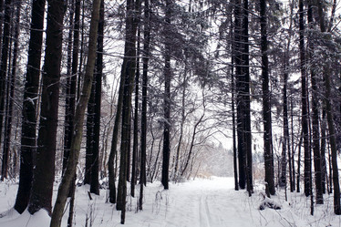 Similar image 10507335