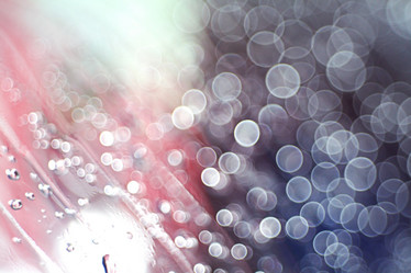 Similar image 10507348