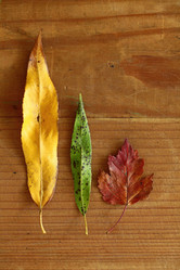 Similar image 10507411