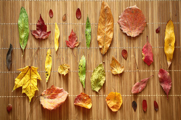 Similar image 10507412