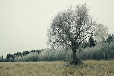 Similar image 10507416