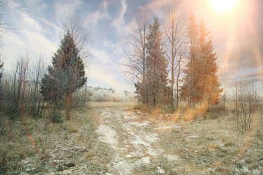 Similar image 10507424