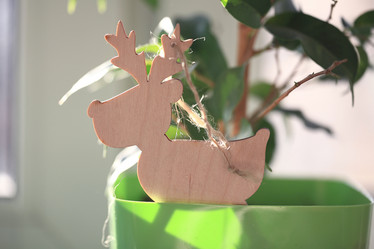 Similar image 10507426