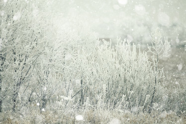 Similar image 10507434