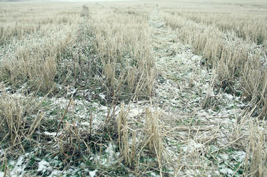 Similar image 10507438