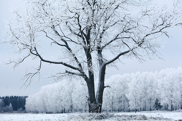 Similar image 10507439