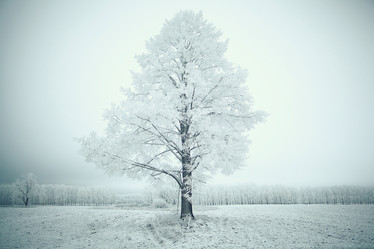 Similar image 10507441