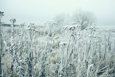 Similar image 10507445