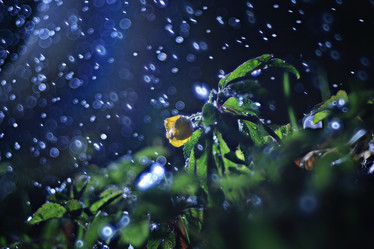 Similar image 10507451