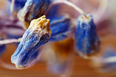 Similar image 10507455