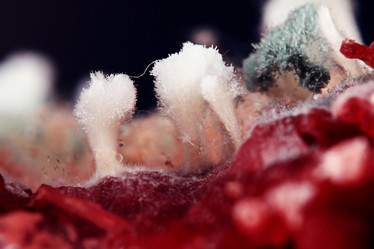 Similar image 10507456