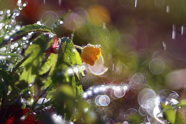 Similar image 10507462