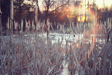 Similar image 10507475