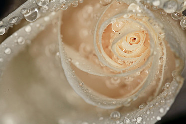 Similar image 10507503