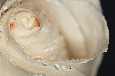 Similar image 10507504