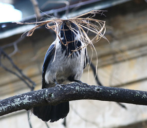 Similar image 10507505