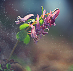 Similar image 10507506