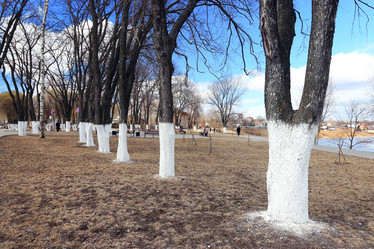 Similar image 10507507