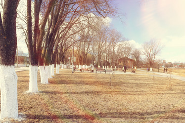 Similar image 10507508