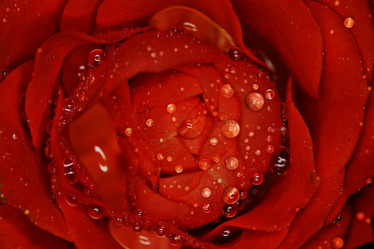 Similar image 10507511