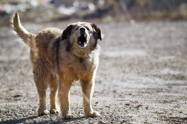 Similar image 10507512