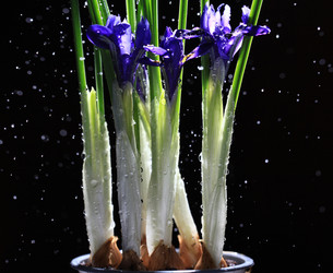 Similar image 10507521