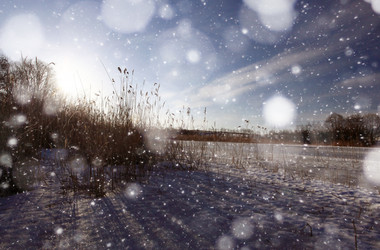 Similar image 10507530