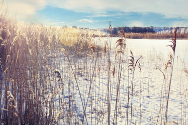 Similar image 10507531