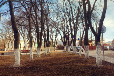 Similar image 10507536