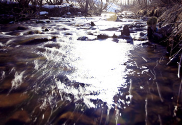 Similar image 10507546