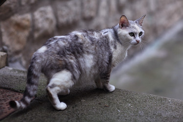 Similar image 10507553