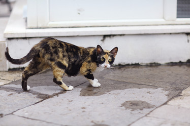 Similar image 10507554