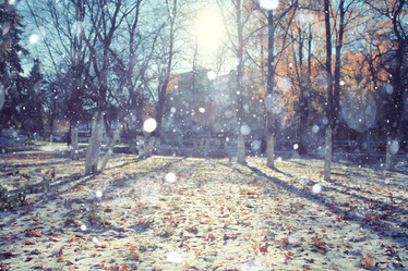 Similar image 10507556