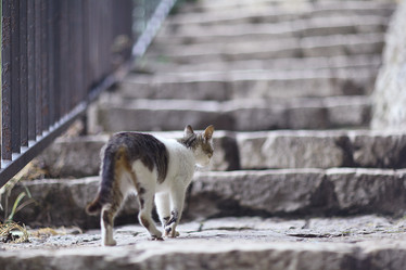 Similar image 10507562