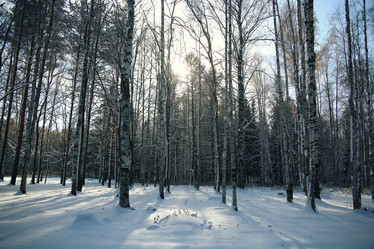 Similar image 10507589