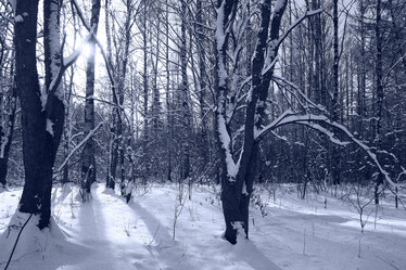 Similar image 10507590