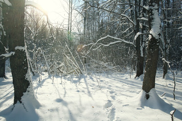 Similar image 10507593