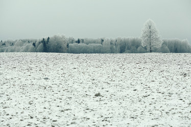 Similar image 10507624