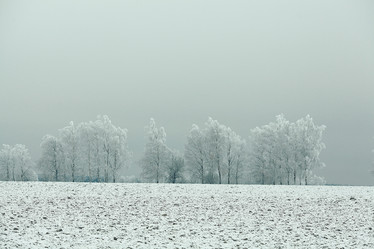 Similar image 10507625