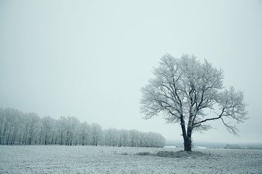 Similar image 10507628