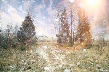 Similar image 10507630