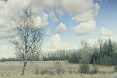 Similar image 10507631