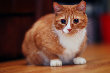 Similar image 10507640