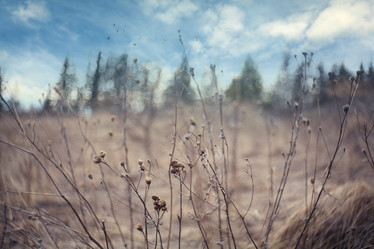 Similar image 10507643