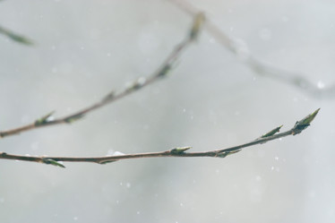 Similar image 10507644