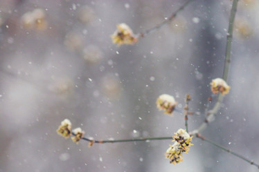 Similar image 10507645