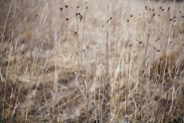 Similar image 10507647