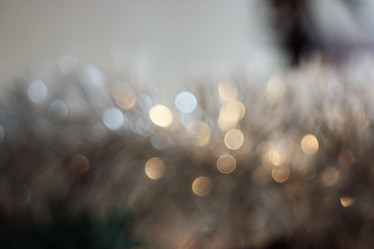 Similar image 10507648