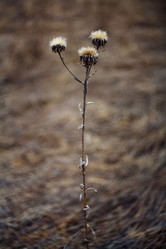 Similar image 10507653